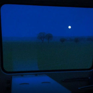 女人尿尿做爱视频
